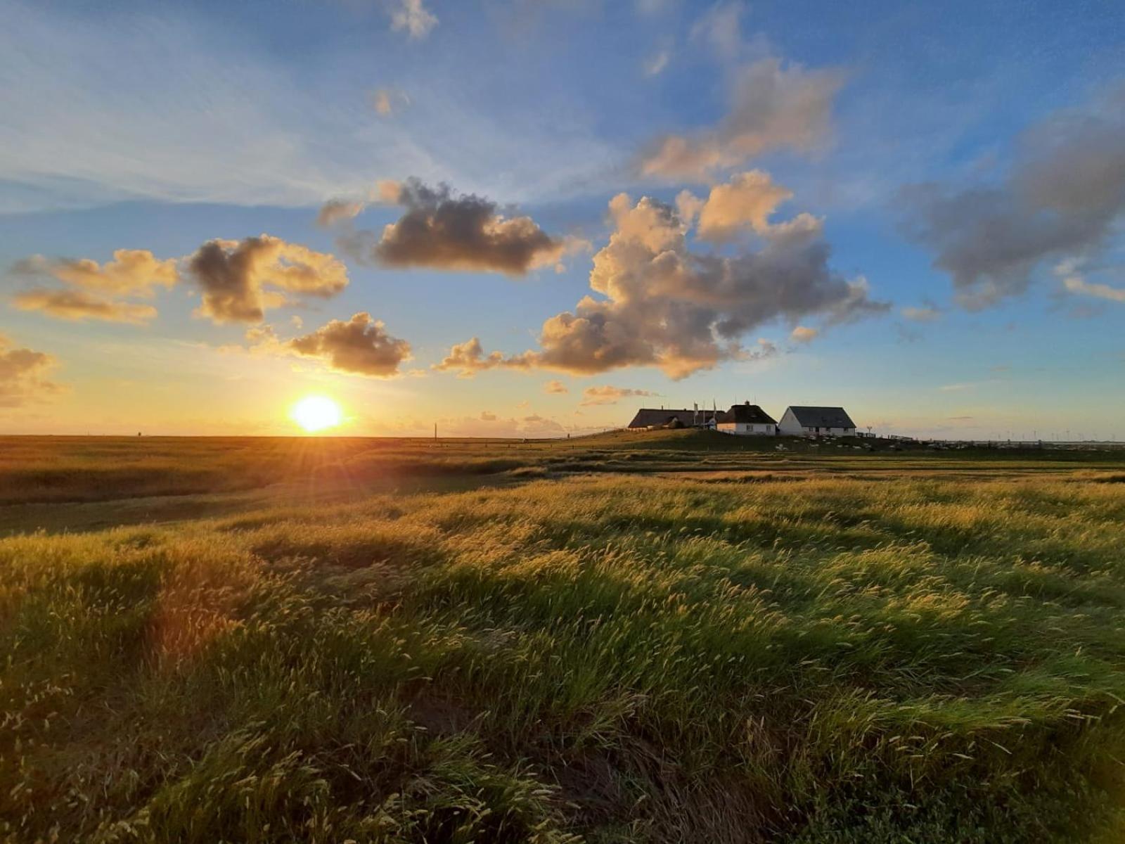 Nordsee Bauernhof Familie Wulff Fewo "Suedfall" Reußenköge Екстериор снимка